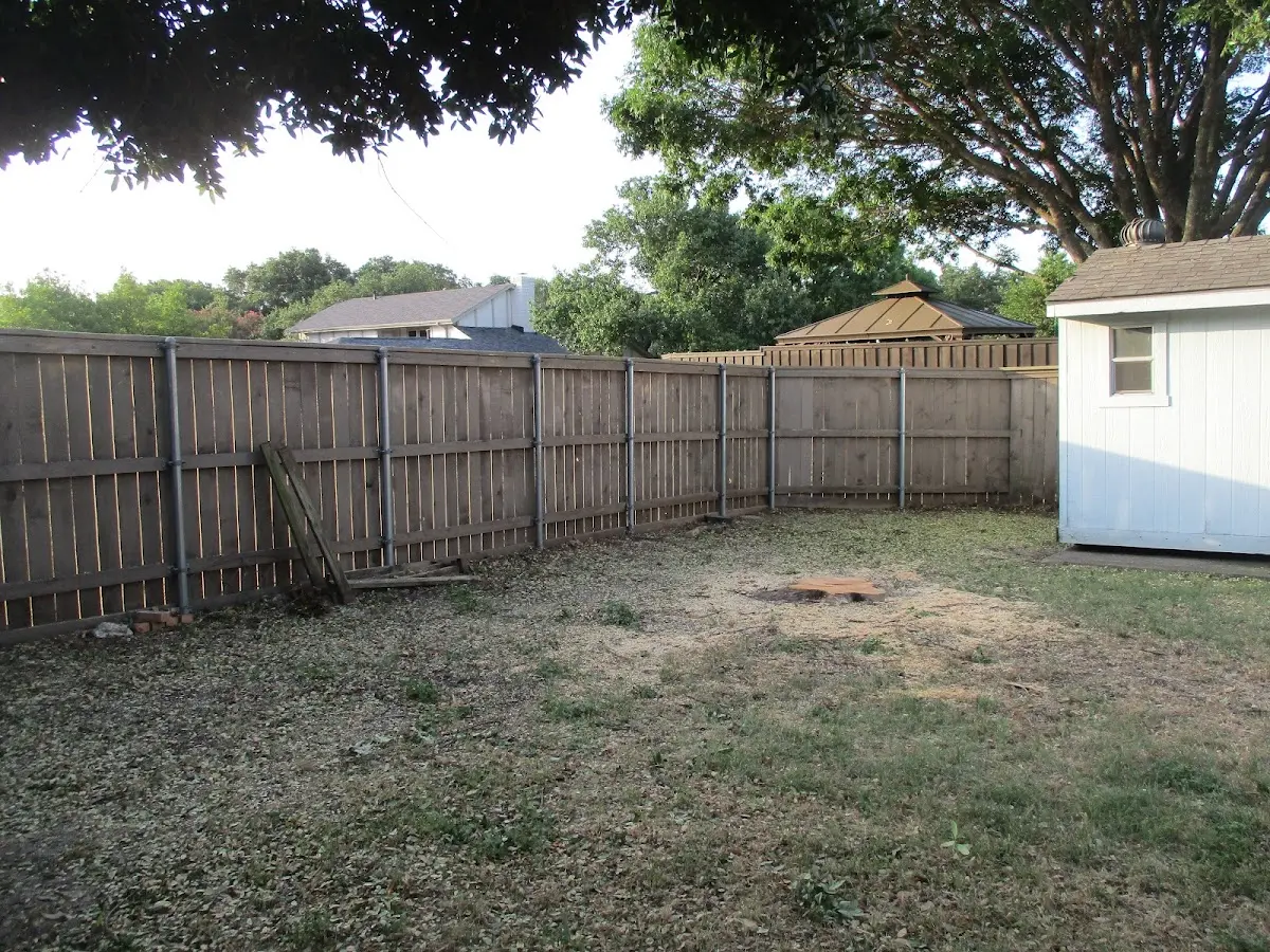 Cleared yard after professional tree removal in Rochelle